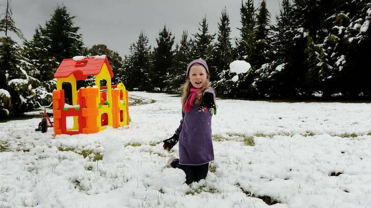 Overnight snow falls in Wamboin, 6 yr old Lilly Axelby plays in her front yard Photo: Colleen Petch