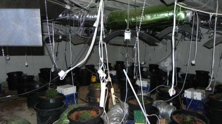 Police found an elaborate cannabis growhouse in an underground chamber in the Macgregor house. Photo: ACT Policing