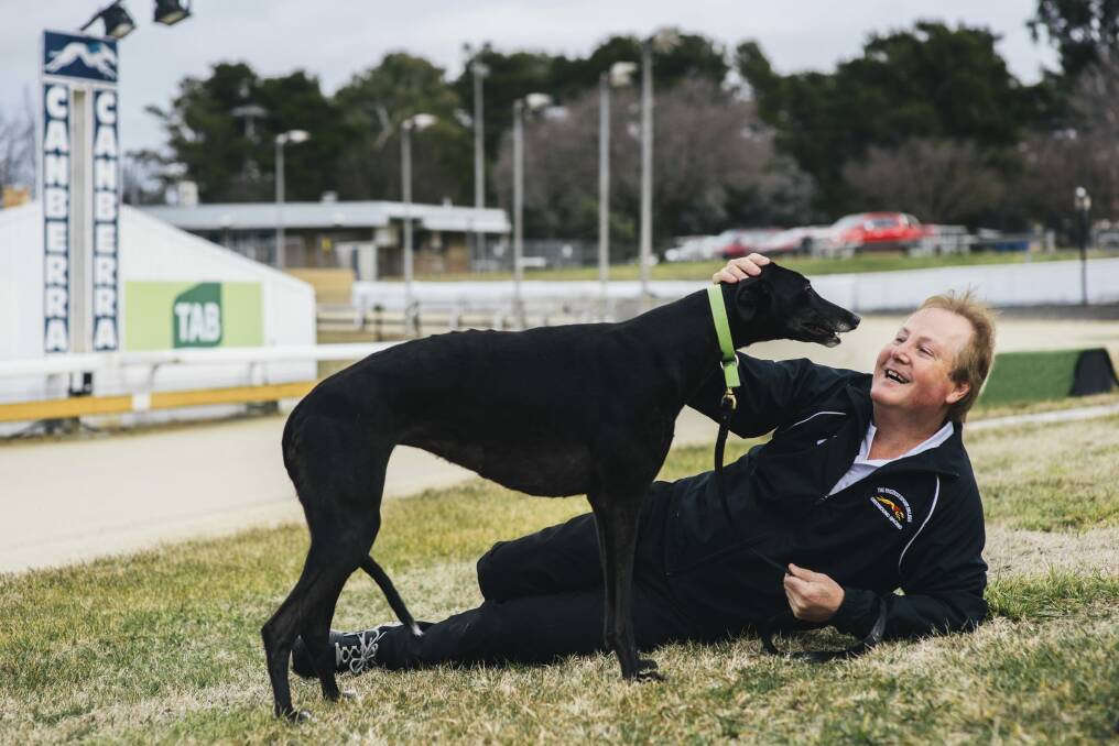 Canberra breeder Alan Tutt with one of his retired greyhounds, La Pearl, who now lives on his couch. Photo: Rohan Thomson