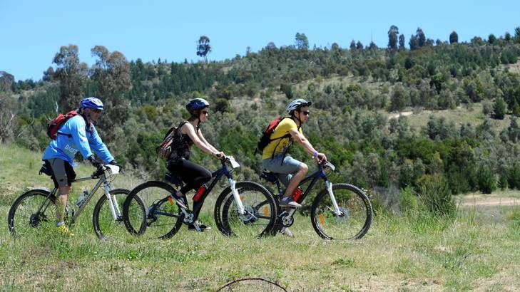 Human Brochure participants visit Stromlo Forest Park and a taste of the mountain bike track. Photo: Graham Tidy