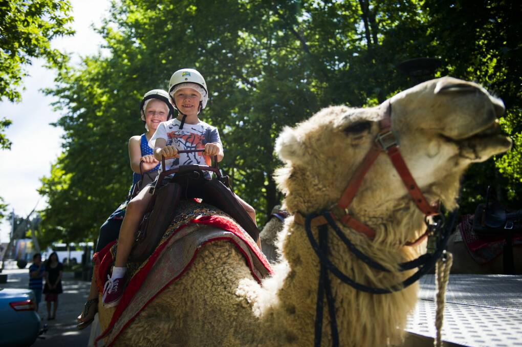 Allie Mae and Jett Cook from Narooma with Tommy the camel at Christmas in the City on Saturday afternoon.

Photo: Rohan Thomson
The Canberra Times
12 December 2015 Photo: Rohan Thomson