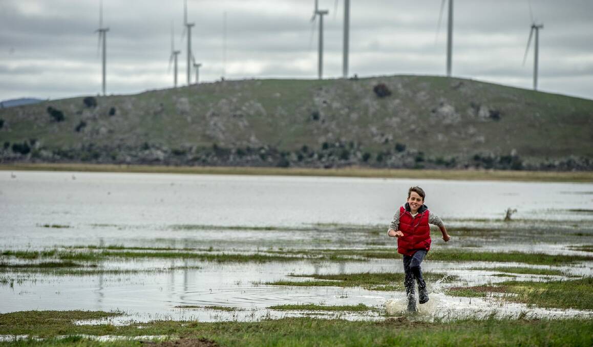 Tom Osborne, 11, splashes through the shallows of Lake George.  Photo: Karleen Minney