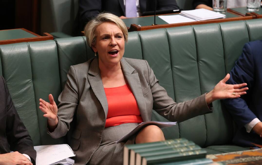 Beware the 'warm and fuzzy' Greens, says Deputy Opposition Leader Tanya Plibersek. Photo: Andrew Meares Photo: Andrew Meares