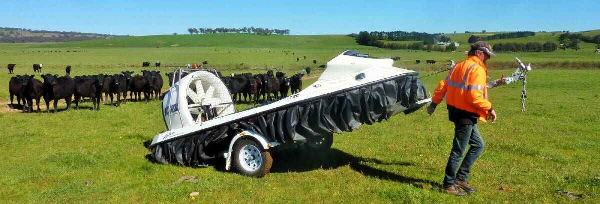 Curious cows gather around a hovercraft at a collector farm this week. Photo: Dave Moore