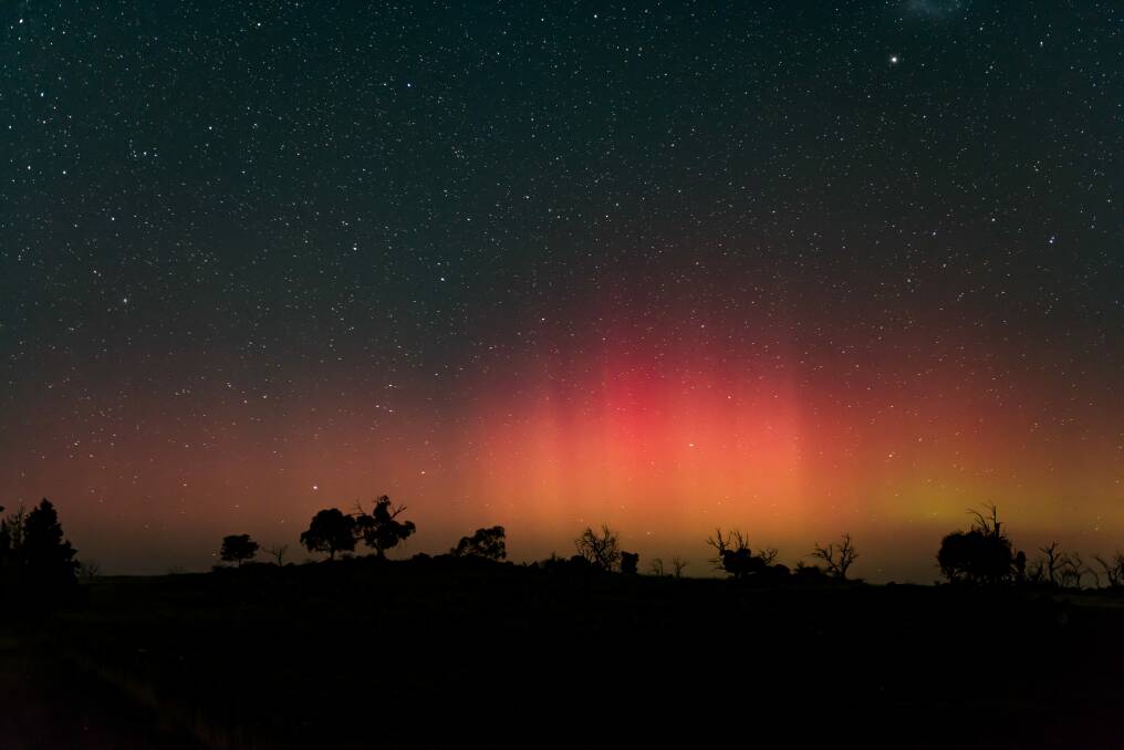 Aurora Australis captured last month over a small ridge lined with beautiful snow gums. Photo: Ian Williams