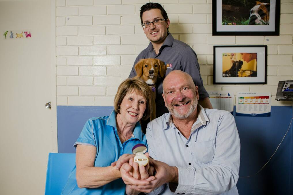 Belconnen Animal Hospital vet Shannon West (back),  discovered a pair of wedding rings in a safe at his practice. The rings have been returned to their owners, Narelle Hilton and Kevin Temme, who married in 1971. 

 Photo: Jamila Toderas