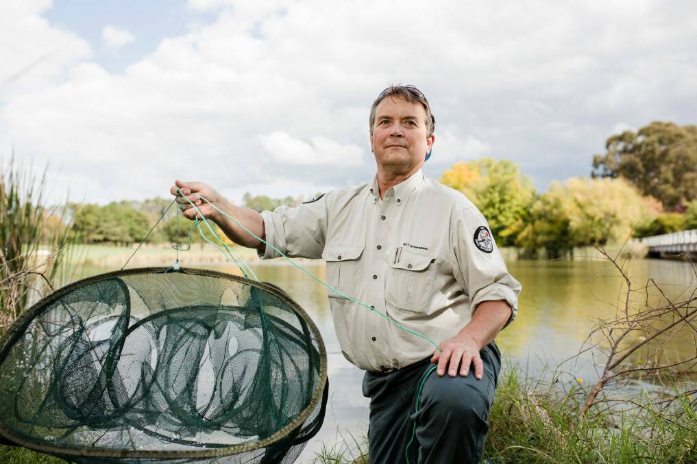 Native water rats, platypus, and other species are being killed by illegal traps left in Canberra's lakes. Compliance ranger with parks and conservation service Richard Kosh. Photo: Jamila Toderas Photo: Jamila Toderas