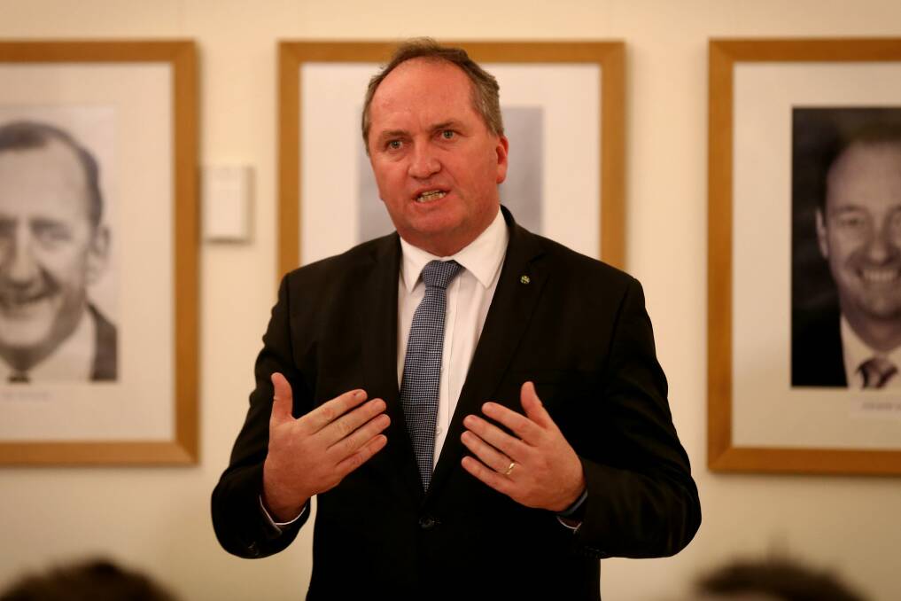 Deputy Prime Minister Barnaby Joyce is expected to be re-sworn in as agriculture minister this week. Photo: Alex Ellinghausen