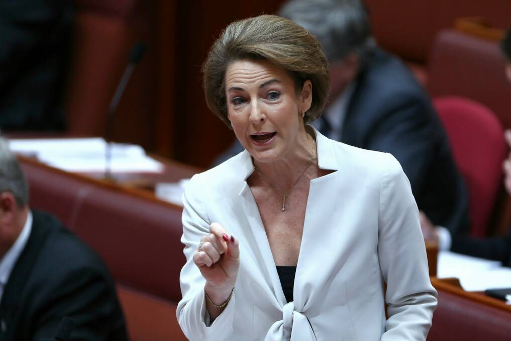 Michaelia Cash says the Abbott government accepts that Australia has a domestic violence epidemic. Photo: Alex Ellinghausen