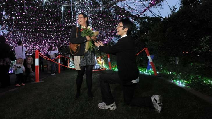 Peter Qin, 27, of Bruce, proposed to Evelin Xu, 26, also of Bruce, at the Christmas light show at the Tennyson Crescent home of the Richards family in Forrest. Photo: Graham Tidy