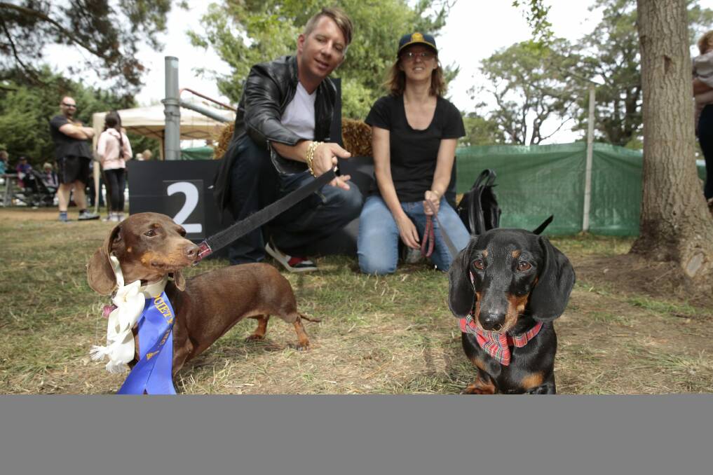 Clinton Menegazzo, of Kingston, with his dog Jazz and Dianne Walton-Sonda, of Queanbeyan, with her dog Mr Jangles, who both made the finals of the Werriwa Wiener Dash race. Photo: Joffrey Chan