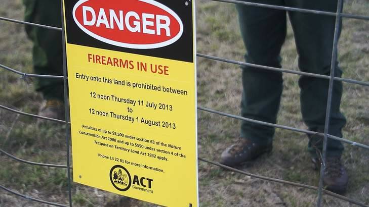 Animal activists claim there is no evidence of tangible benefit from the ACT's kangaroo culling program. Photo: Supplied