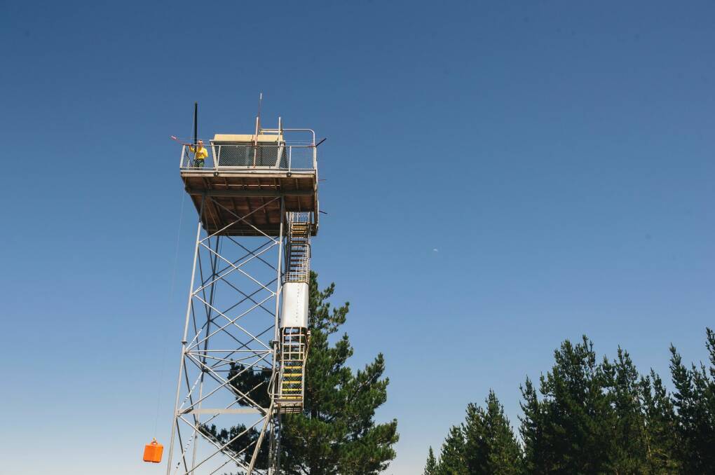 The Kowen Forest fire tower. Photo: Rohan Thomson