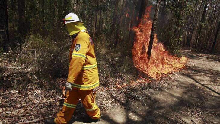 RFS crews back burn along Mt Lagoon NSW on a cooler day compared with the week we've just had. Photo: James Brickwood