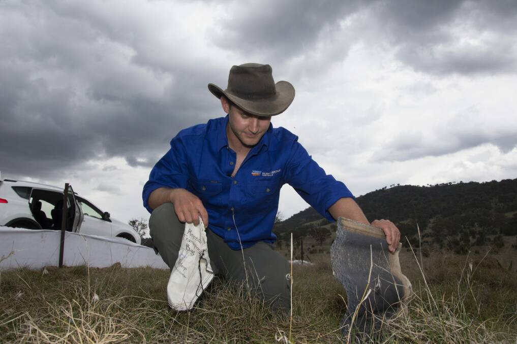 Brett Howland looks to trap lizards that wriggle underneath sun-warmed clay tiles. Photo: Annette Ruzicka