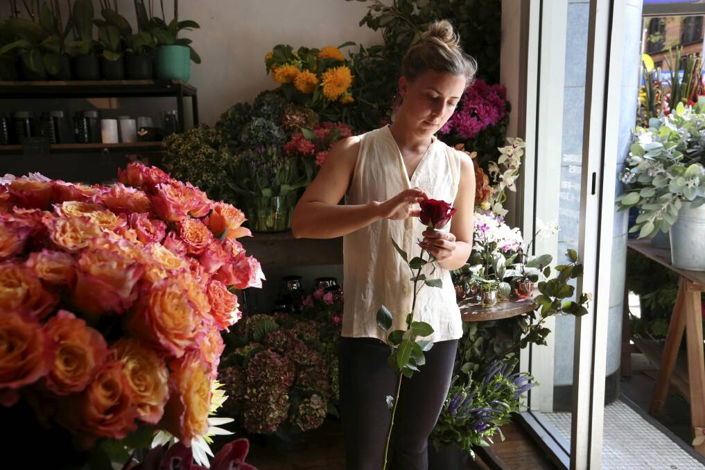 Florists say roses aren't as popular as they once were as Valentine's Day customers look for more colour. Photo: Louise Kennerley