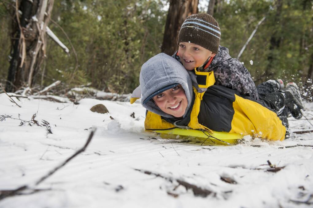 Zac Turtle, 13, and Gabriel Pinzon, 8, of Gilmore toboggan in the snow at Tidbinbilla. Photo: Elesa Kurtz