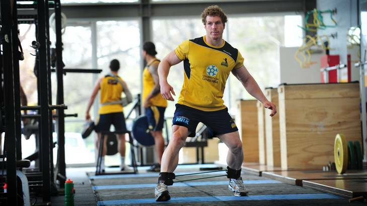 David Pocock has been training with the Brumbies in Canberra. Photo: Karleen Minney