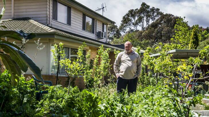 Paul Crawford of Mawson is nearly self sufficient in terms of the food he grows and energy he saves at his suburban home. Photo: Rohan Thomson