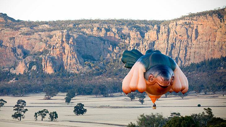 The Canberra Centenary balloon ... our <em>Skywhale</em>.