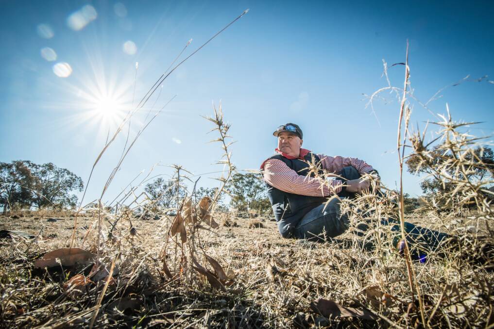 Lanyon farmer Andrew Geikie, who says a dry spring would mean "everyone's in the poo". Photo: Karleen Minney