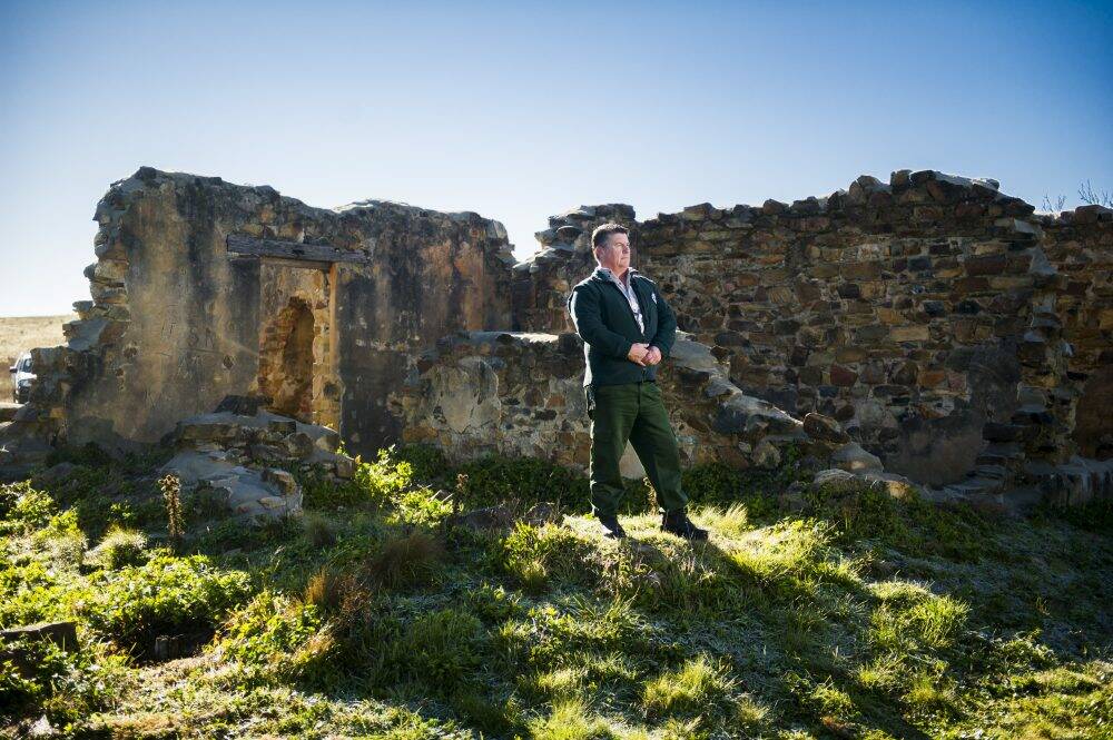 Senior ranger Dean Darcy, who used his bricklaying trade to preserve the ruins of this historic homestead near Kowen Forest. Photo: Rohan Thompson