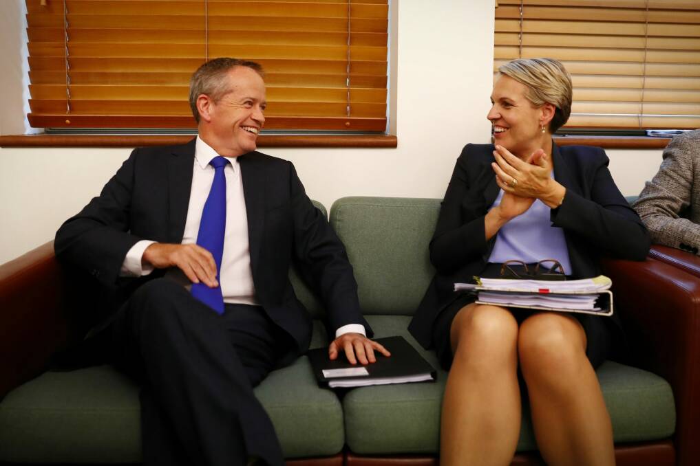 Opposition Leader Bill Shorten and Deputy Opposition Leader Tanya Plibersek argued the Medicare levy rise should only apply to people earning more than $87,000 a year. Photo: Alex Ellinghausen