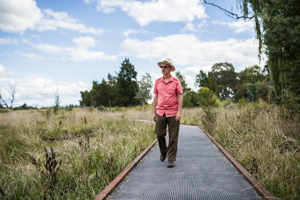 Jerrabomberra Wetlands Management Committee chairman Warren Nicholls enjoys the new board walk. Photo: Rohan Thomson