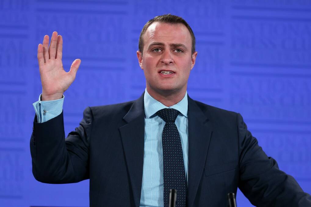 Human Rights Commissioner Tim Wilson: ''This decision is a reminder that our commitment to free speech needs to be consistent, reflected in law and not just rhetoric.'' Photo: Alex Ellinghausen