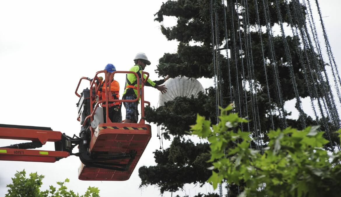 At this stage, 374,281 lights will be enough to give Canberra the  record for the most lights on any Christmas tree in the world. Photo: Graham Tidy