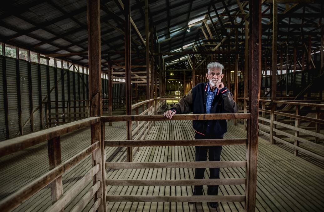 Des de Belle, 90, one of the last shearers at the Yarralumla Woolshed. Photo: Karleen Minney