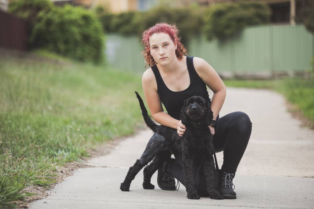Rachael Bartram with two-year-old spoodle Romeo on the path where the dog was attacked on Saturday. Photo: Jamila Toderas