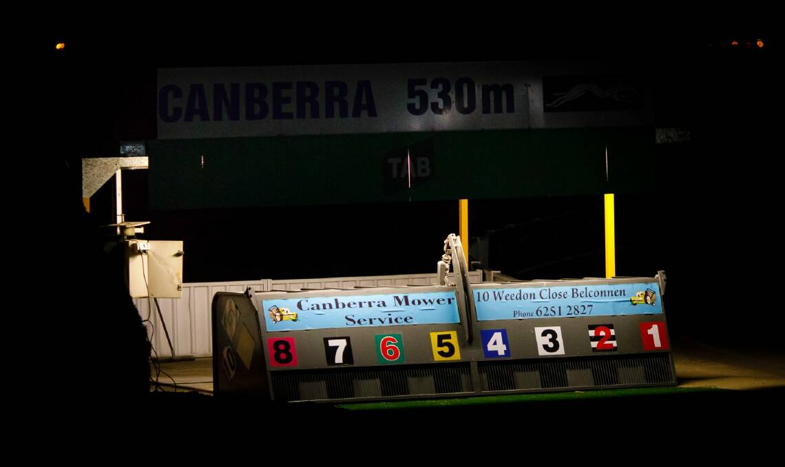 The lights will soon go out at Canberra Greyhound Racing club. Photo: Sitthixay Ditthavong