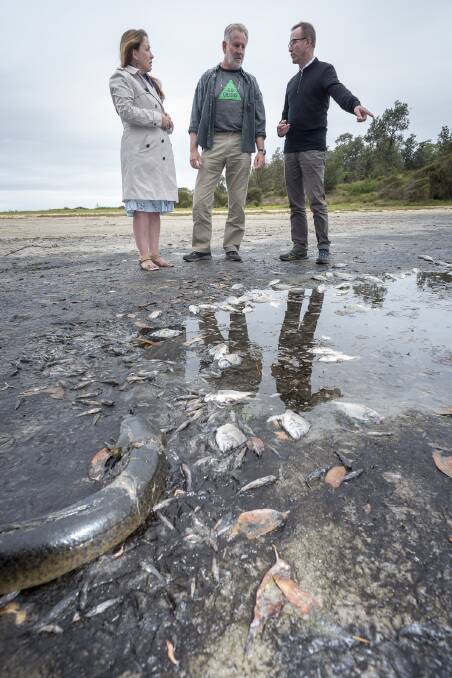 Greens Candidates Abigail Boyd and Will Douglas with Greens MP David Shoebridge at Meringo Lagoon.  Photo: Supplied. 