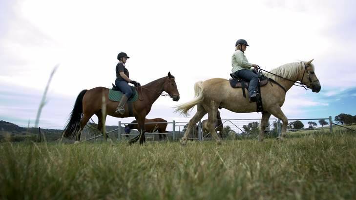 Show jumper Jollene Reich and trail rider Laurel White are concerned about the impact of a solar farm on the Rose Cottage paddocks. Photo: Elesa Kurtz