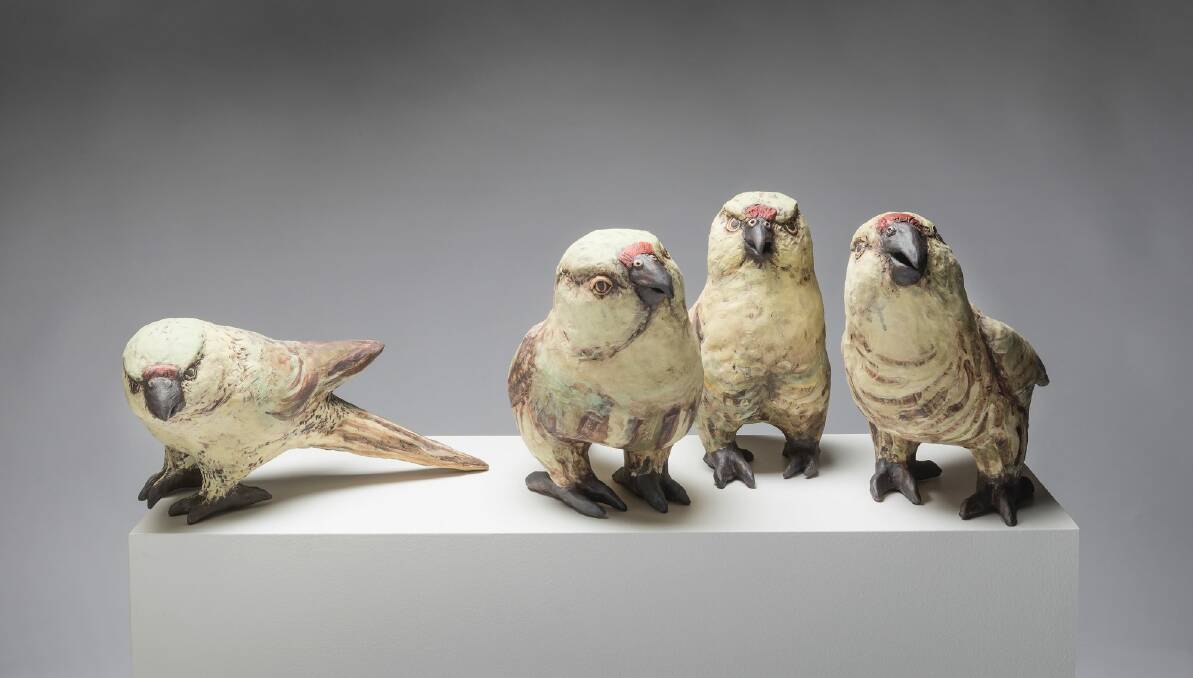 Ground Parrots, by Bev Hogg, from the Avairy exhibition. Photo: Rob Little 