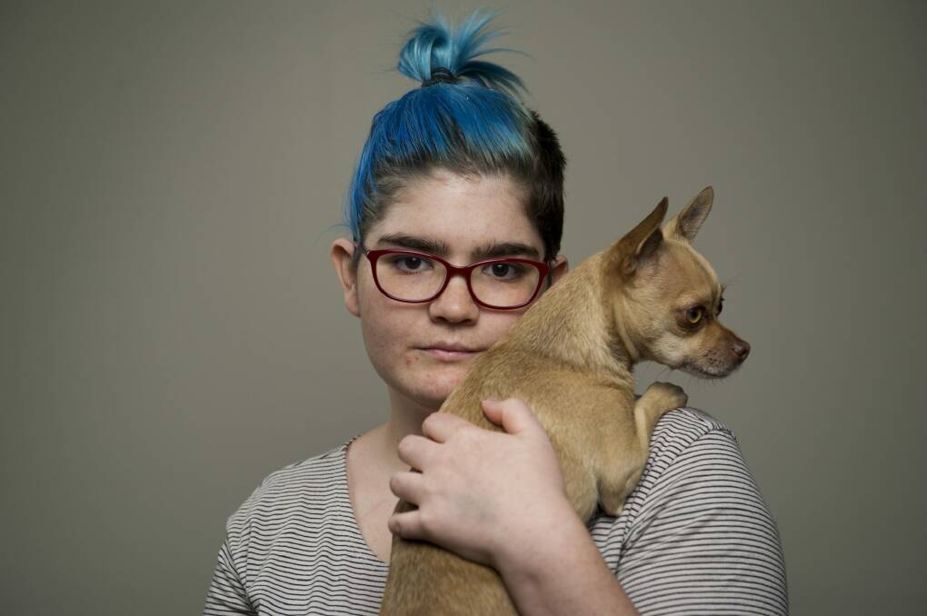 Isabelle Goldstraw with her dog Flea after an attack by two dogs killed her other chihuahua Jiminy and left her with an injured hand.  Photo: Jay Cronan