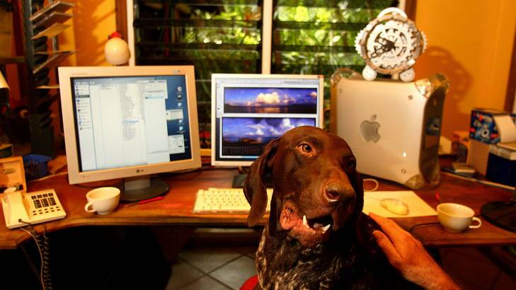 Only one in 20 federal public servants telecommute regularly. Photo: Glenn Campbell