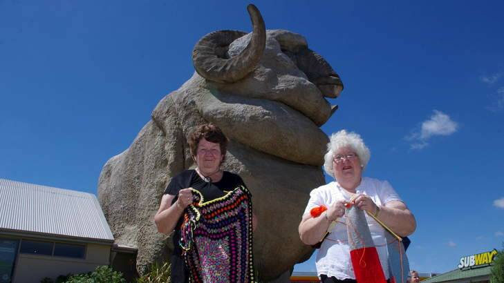 Two of the many Goulburn women knitting a scarf for Rambo, Lynne Mortimer and Susan McDonnell. Photo: Darryl Fernance of the <i>Goulburn Post</i>.