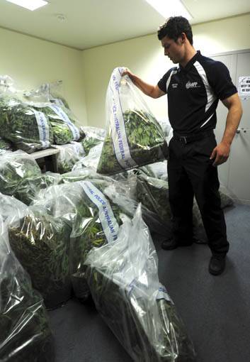 AFP officer Cade DeLepervanche stacks the bags of plants. Photo: Graham Tidy