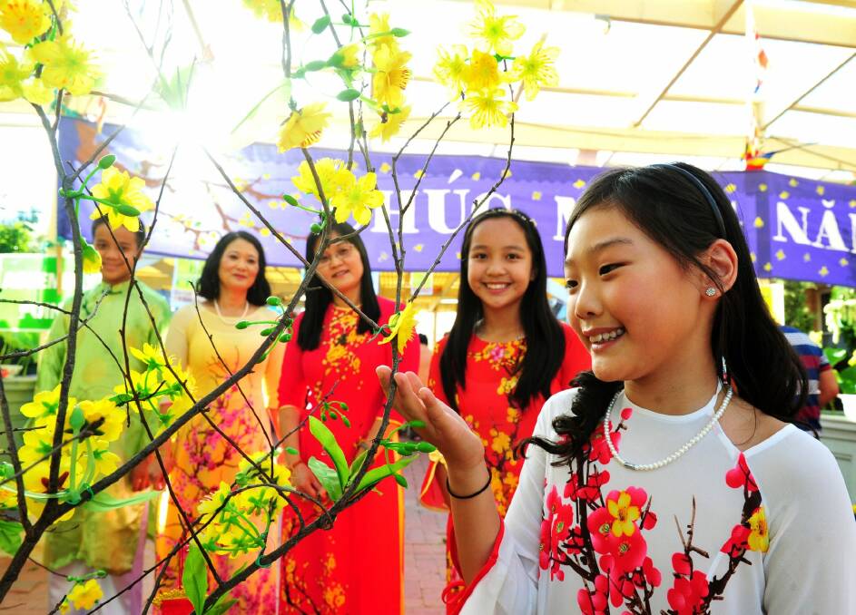 Admiring the Mai flower, which is said to be lucky, at the Sakyamuni Buddhist Centre are, from left, Peter Zhao,13, Hong Pham, Phuong Phan, Cindy Zhao,12 and Jade Tong,11, all of Monash.  Photo: Melissa Adams 