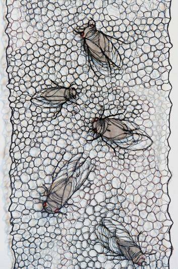 Habitus cicadas, by Sharon Peoples.