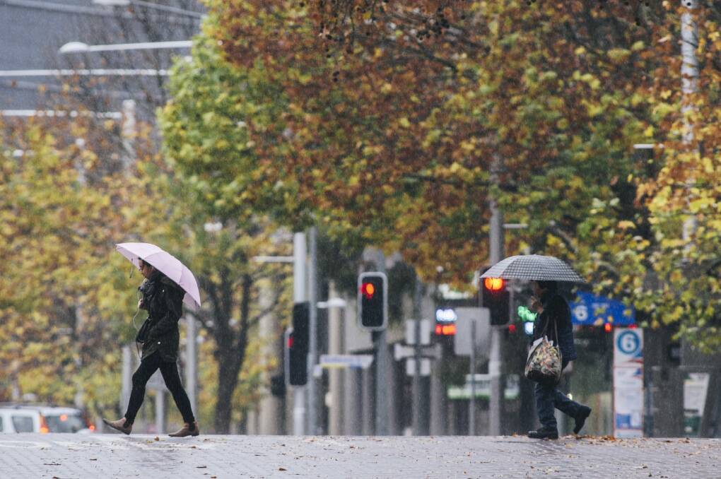 Pedestrians in the rain in the City on Sunday morning. Photo: Rohan Thomson