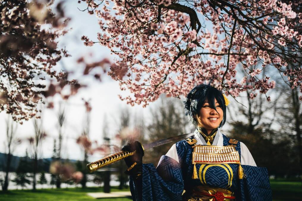 Kitchan Pon of Franklin, dressed as anime character Mikazuki Munechika, amongst blossoms in Lennox Gardens. Canberrans should make the most of sunny days in spring as there'll likely be more wet ones than usual. Photo: Rohan Thomson