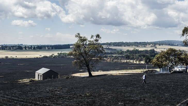 Burnt land on Hazeldell Rd, near Bungendore. Photo: Rohan Thomson