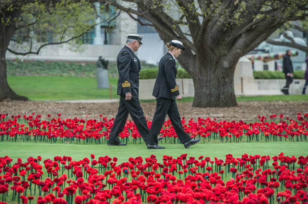 Installation of 62,000 hand-crafted poppies on the grounds of the Australian war memorial sculpture garden to mark the 62,000 Australians that have died in the service of their nation. Photo by Karleen Minney. Photo: Karleen Minney