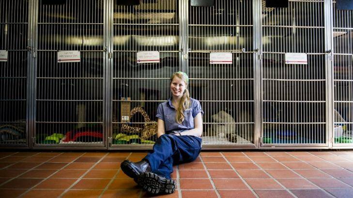 All gone: RSPCA animal care assistant Tegan King in front of the empty cat cages. Photo: Jay Cronan