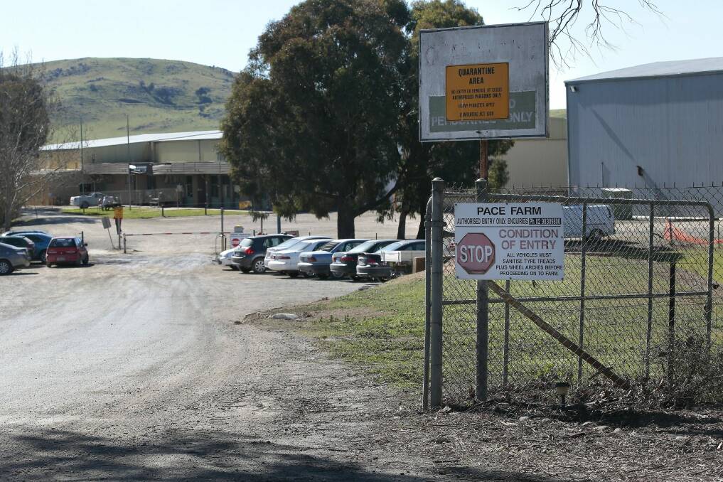 Parkwood Eggs in Belconnen is worried the smell from its laying sheds will affect residents of a planned new suburb.  Photo: Jeffrey Chan 