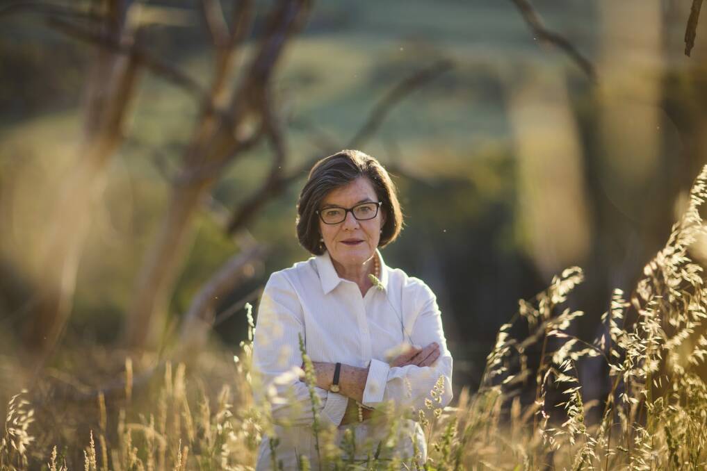 Independent MP Cathy McGowan is the only crossbench MP left guaranteeing supply and confidence. Photo: Meredith O'Shea
