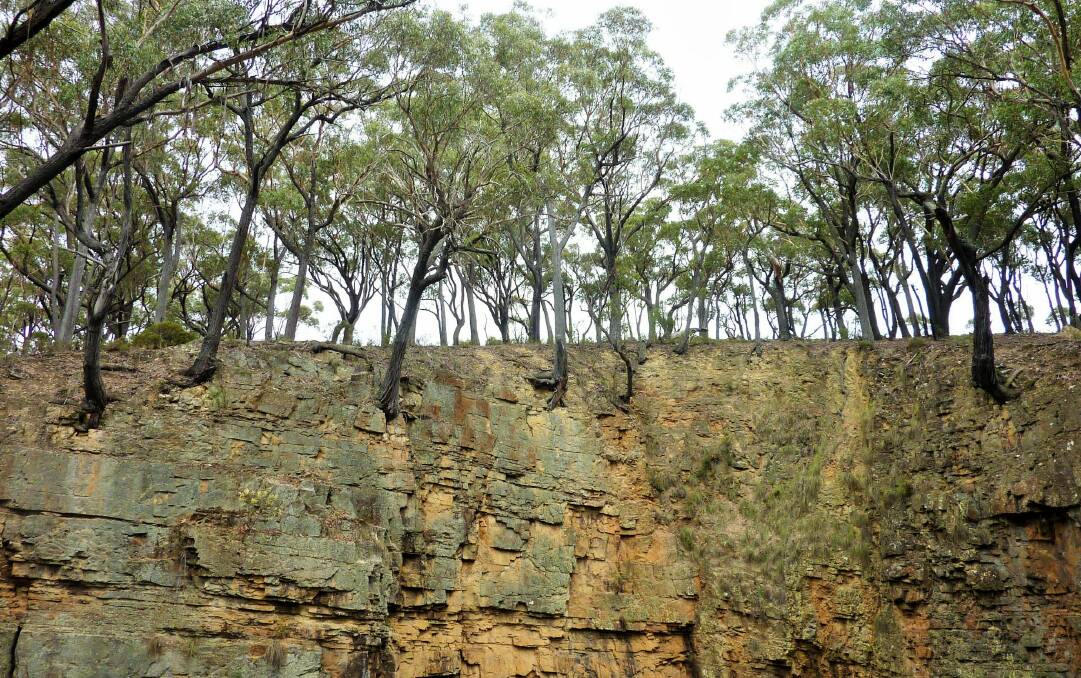 Trees cling precariously to the vertical walls around the top of the Big Hole. Photo: Tim the Yowie Man